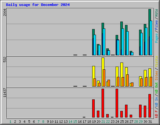 Daily usage for December 2024