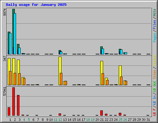 Daily usage for January 2025