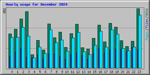 Hourly usage for December 2024