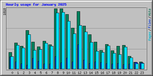 Hourly usage for January 2025