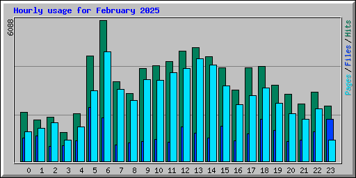 Hourly usage for February 2025