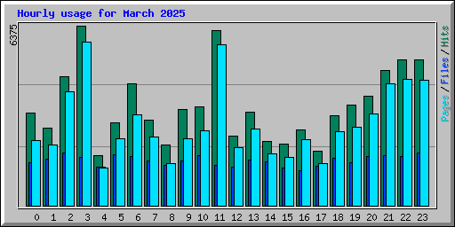 Hourly usage for March 2025