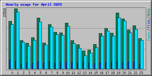 Hourly usage for April 2025