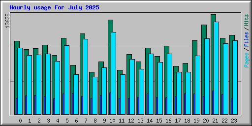 Hourly usage for July 2025