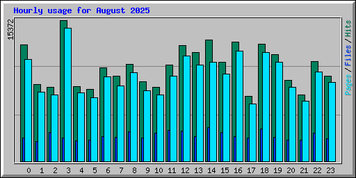Hourly usage for August 2025