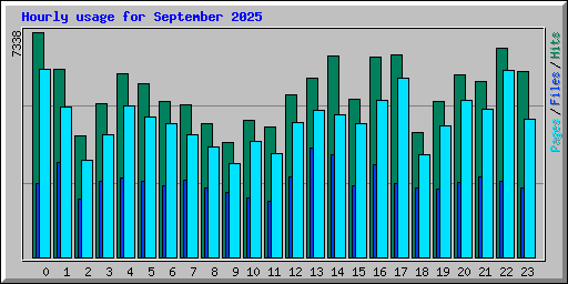 Hourly usage for September 2025